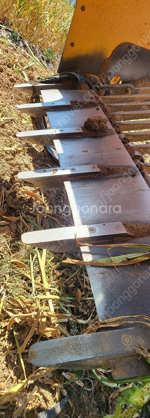 땅속작물수확기 / 마늘수확기 / 뿌리식물 수확기--0